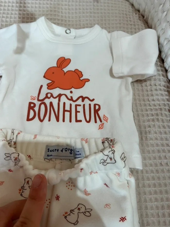 Ensemble sucre d’orge lapin bonheur 1mois - photo numéro 3
