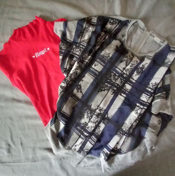 Lot de 2 hauts taille 38-M