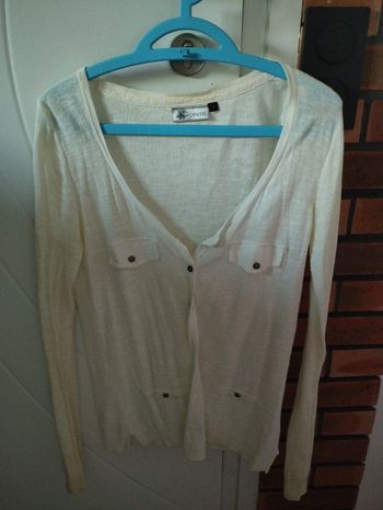 Gilet blanc, fin
