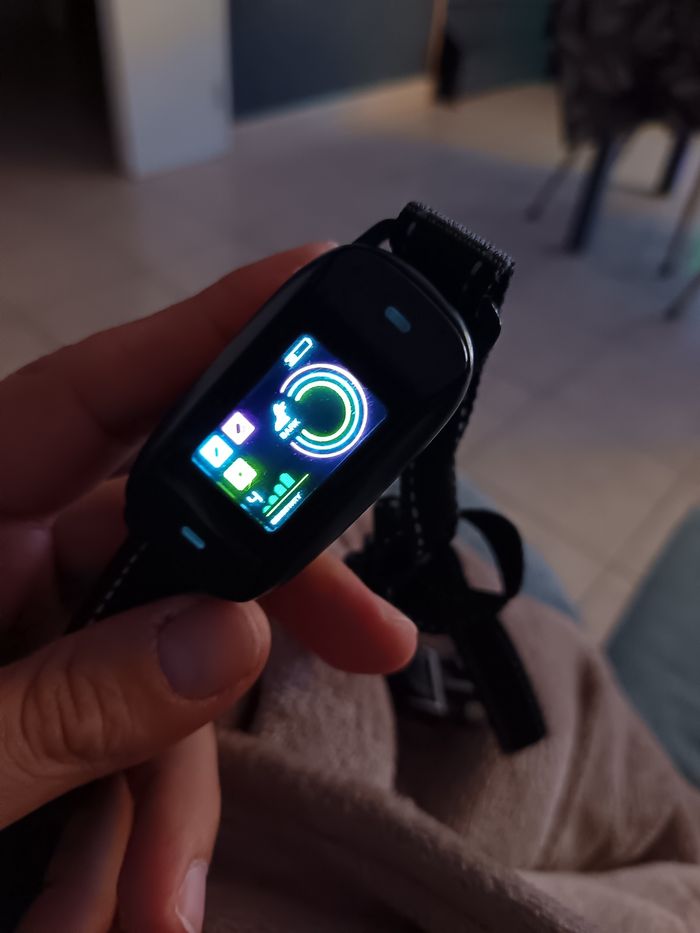 Collier Anti Aboiement - photo numéro 4