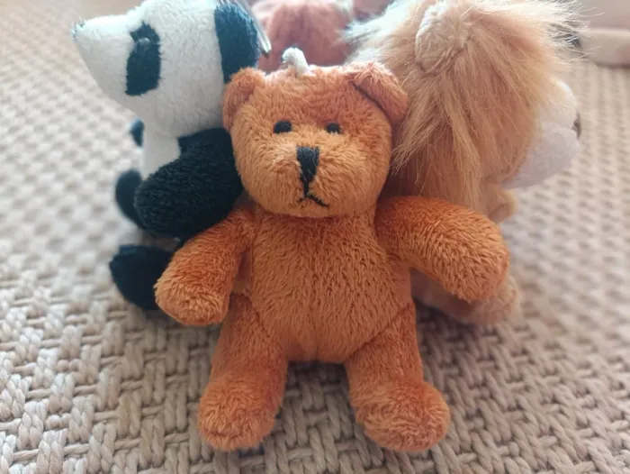 Lot de 5 porte clés peluches animaux - photo numéro 4