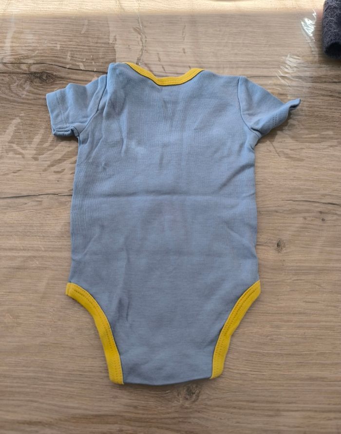 Body tigre - photo numéro 2