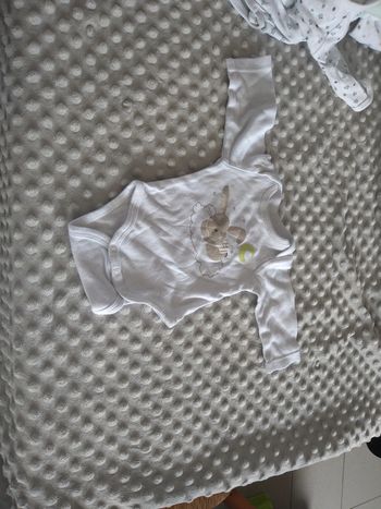 3 body gemo 1 mois
