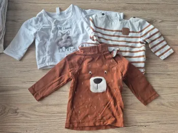 Lot t-shirts manche longue