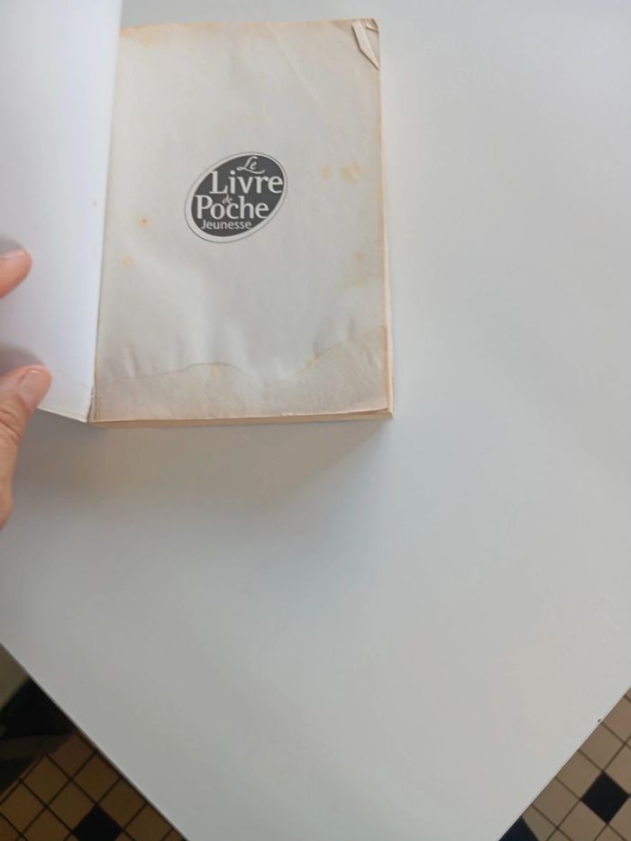 Livre Bilbo le Hobbit - photo numéro 3