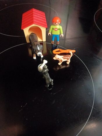 Playmobil 4498