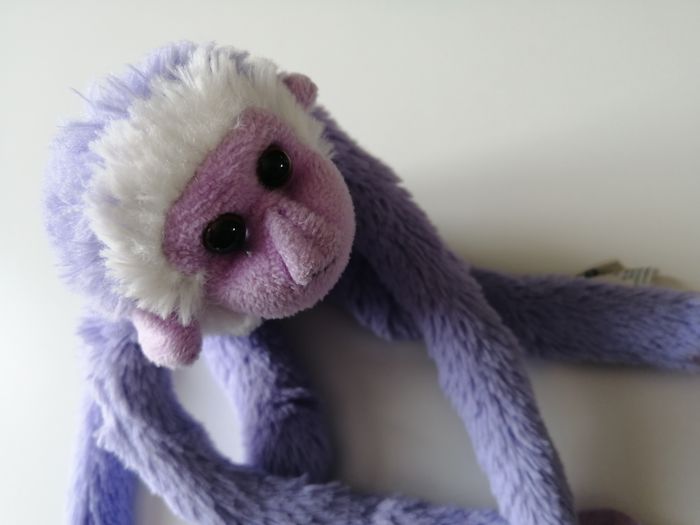 peluche singe - photo numéro 5