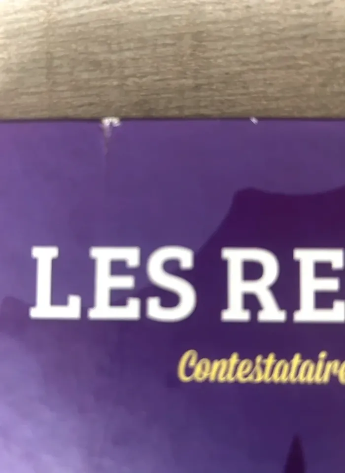 Livre les rebelles Quelle Histoire - photo numéro 5