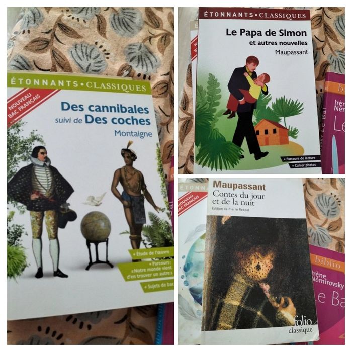 Ensemble de livres classiques Collège - Lycée - photo numéro 3