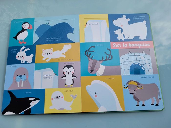 Grand livre à flaps 🦍 Mon Bel Imagier 🦜 Les animaux 🐆 73 - photo numéro 11