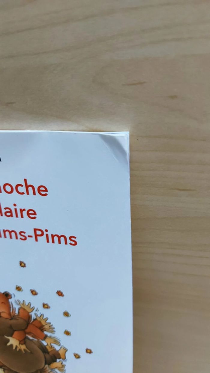 🌺 Livre (école des loisirs) : L'affreux moche Salétouflaire et les Ouloums-Pims - photo numéro 8