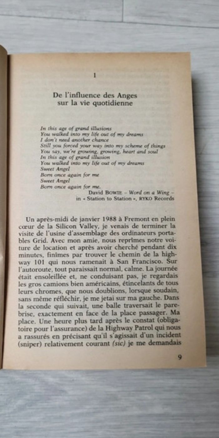 L8vre Enquête sur l'existence des Anges Gardiens - photo numéro 4