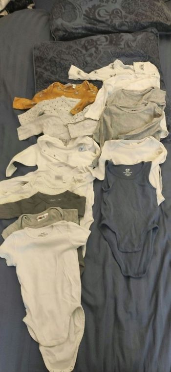 Lot 15 bodies 6 mois