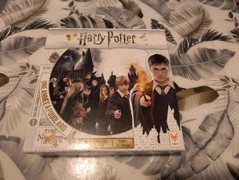 Jeu harry Potter une année a Poudlard