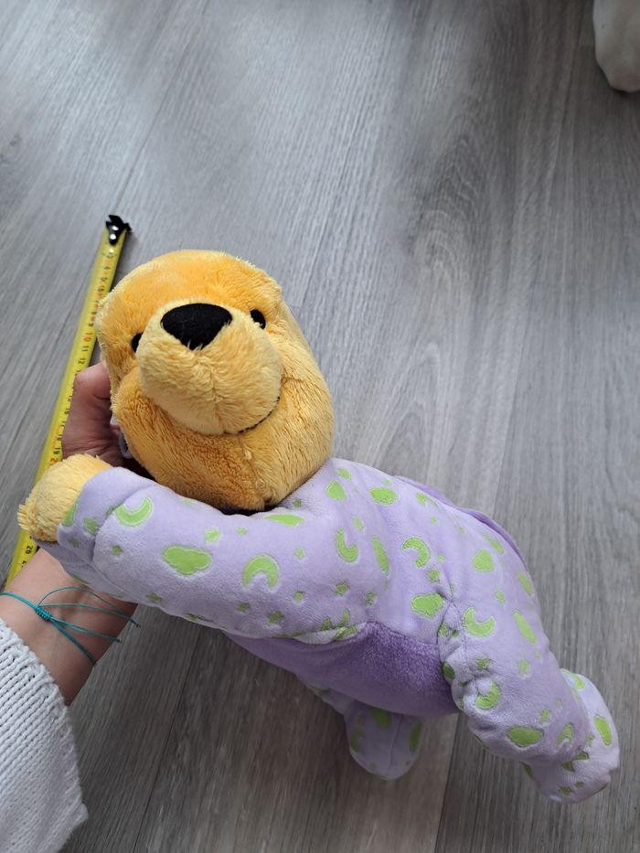 Winnie l'ourson - photo numéro 2