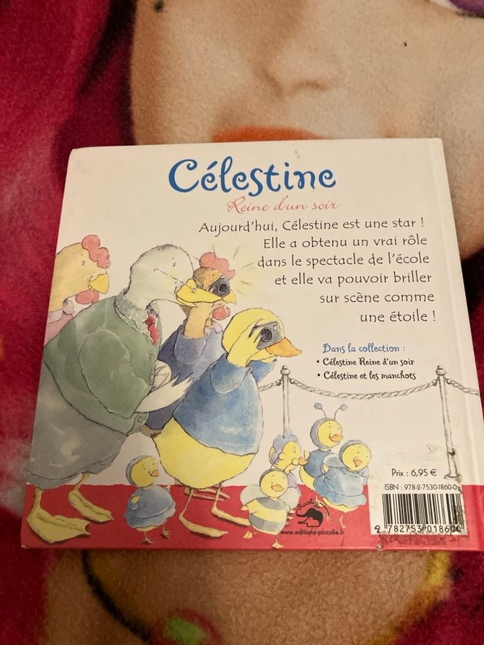 Célestine reine d’un soir - photo numéro 5