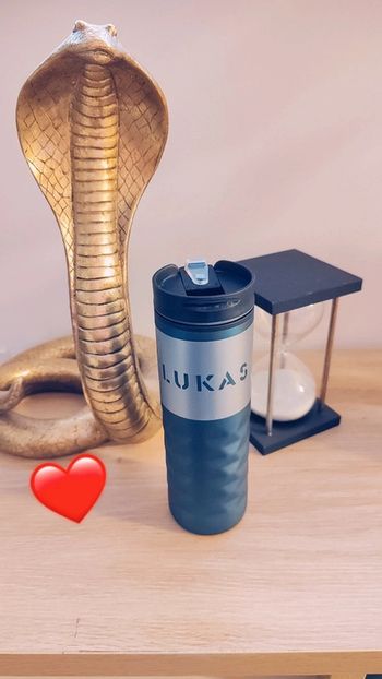 Gourde en type acier neuve