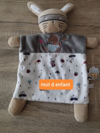Doudou Mot d enfants lapin masqué