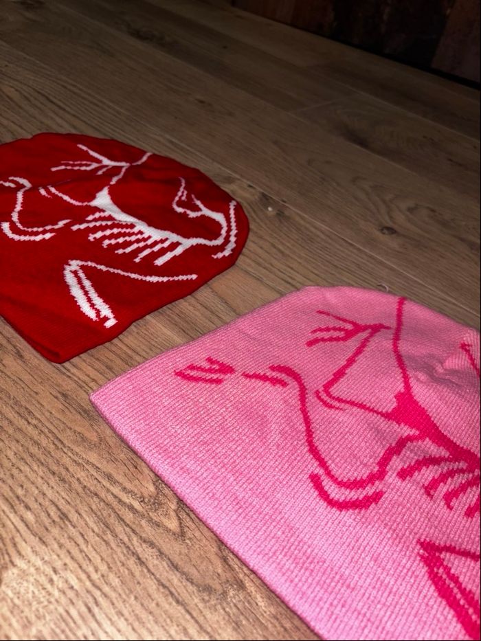 Lot 2 bonnets Arc’teryx - photo numéro 2