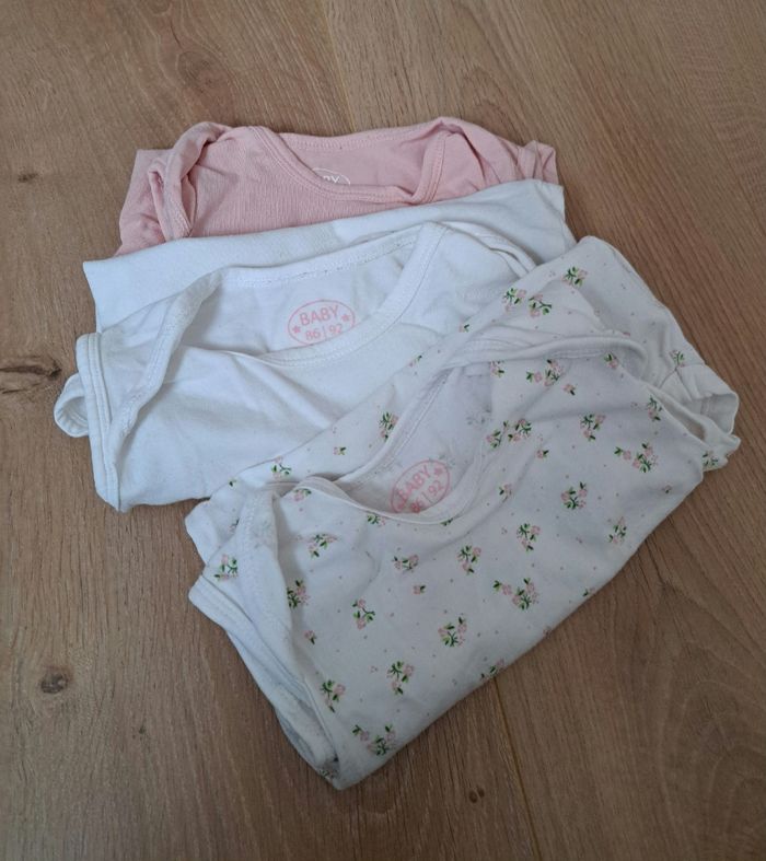 Lot 3 bodies