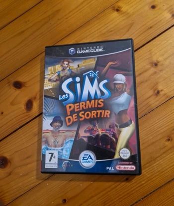 Jeu sims permis de sortir