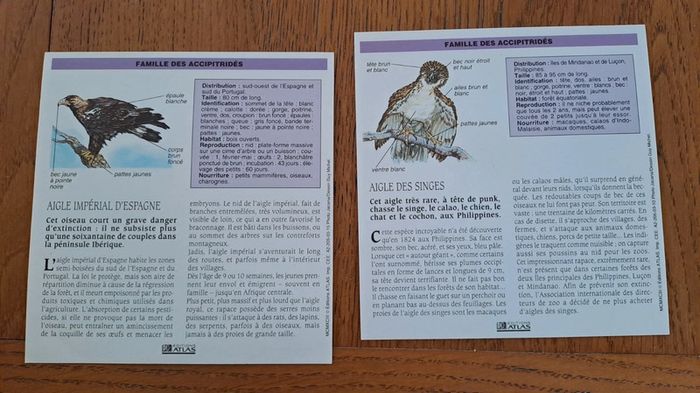 2 fiches éditions Atlas sur l'aigle - photo numéro 2