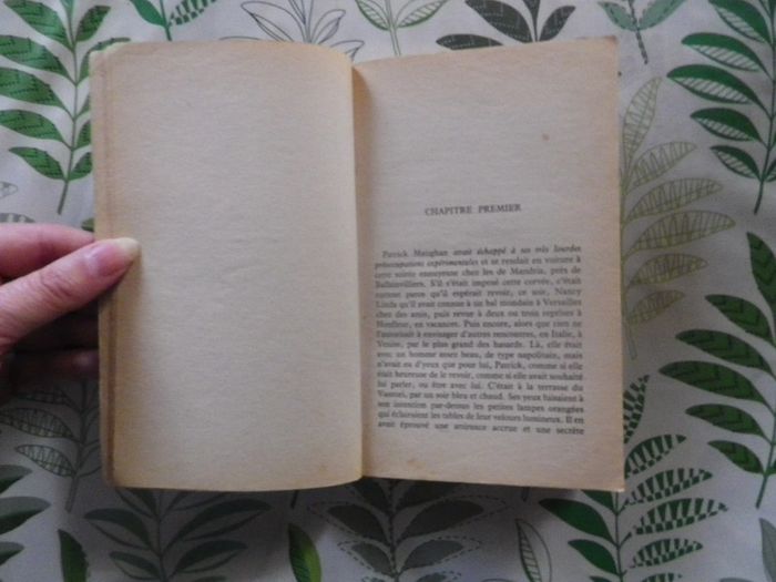 La planète suppliciée de Robert Clauzel n°760 Fleuve Noir Anticipation - photo numéro 5