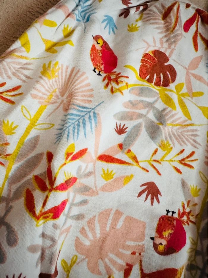 Grenouillère été - photo numéro 2