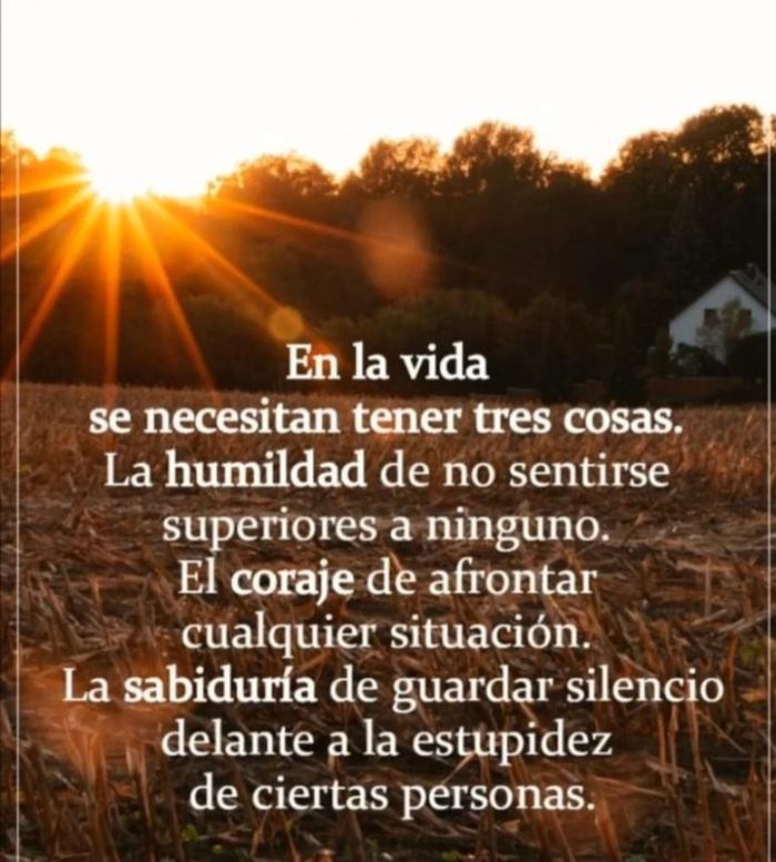 Bomber oversize rizo - photo numéro 2