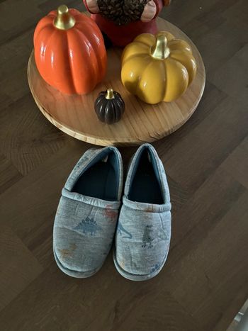 Chaussons TAO thème dinosaures P36/37