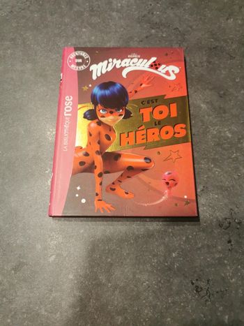 Livre miraculous grand format.