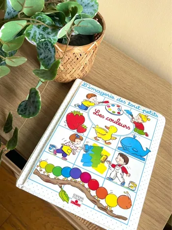 Livre enfant imagerie des tout petits les couleurs editions fleurus apprentissage educatif vintage