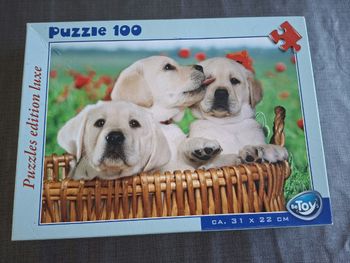 Puzzle 100 pièces 