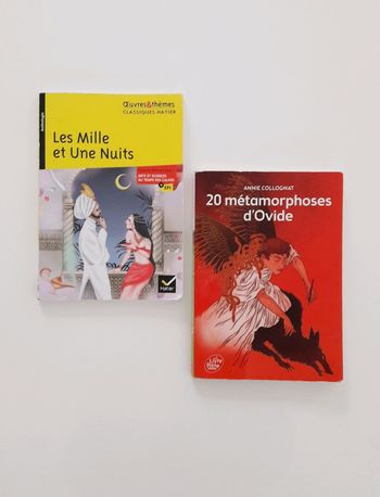 📚 Lot 2 classiques pour la 6ème