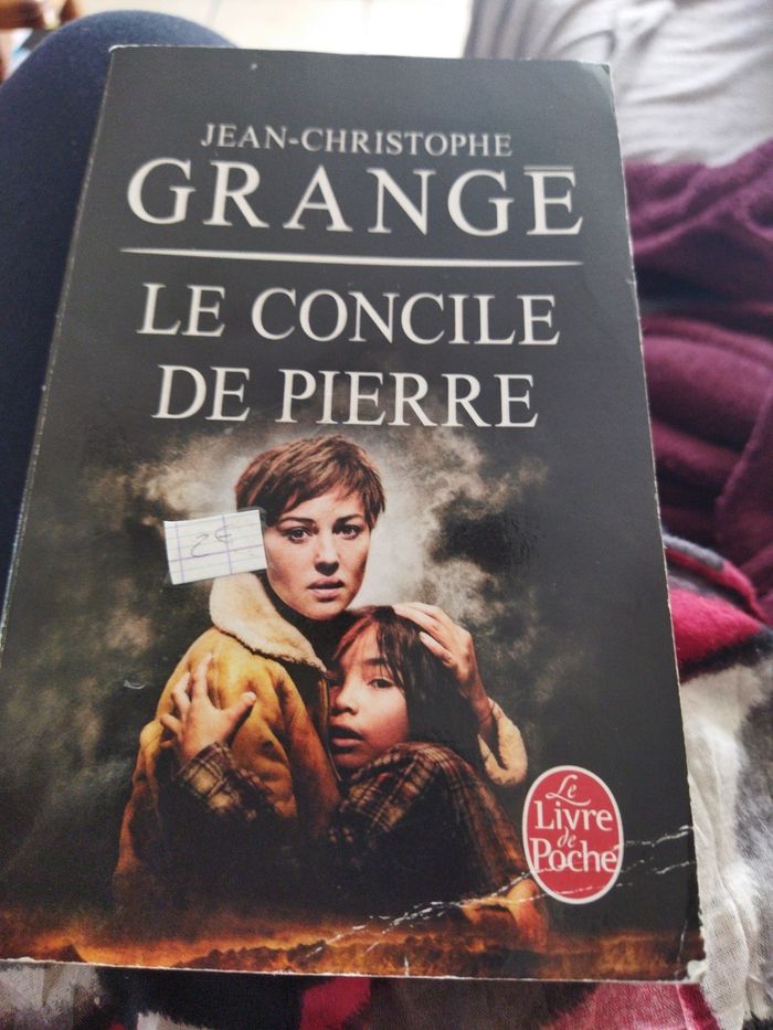 Le concile de Pierre