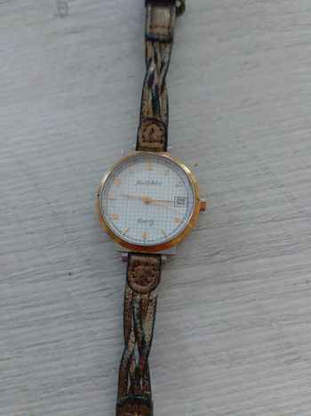 Montre quartz jean Delatour