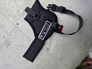 Harnais chien taille M