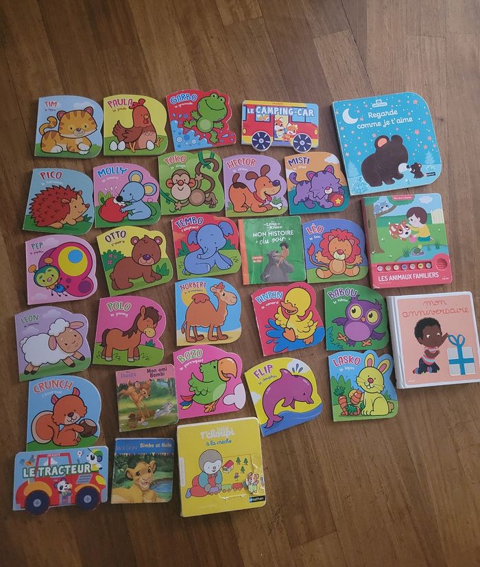 Lot de 30 livres 1er âge