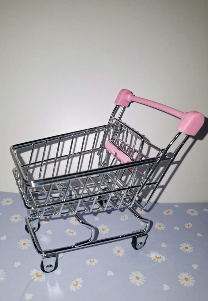 Poupée fait ses courses - photo numéro 3