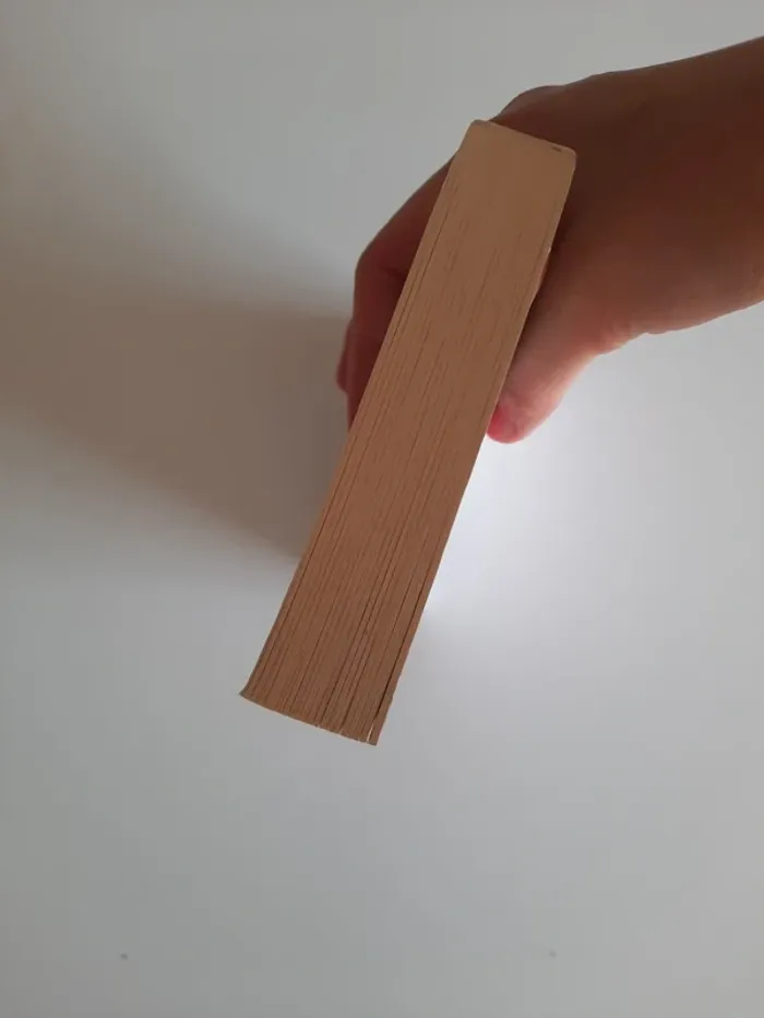 livre absolument débordée - photo numéro 3