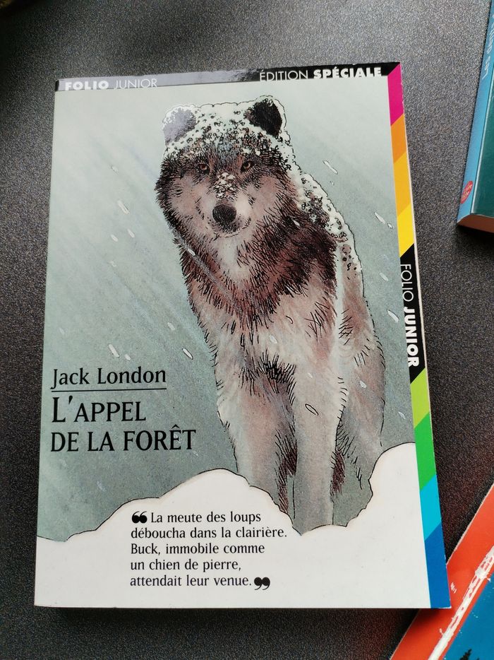 Lot livres ado collège - photo numéro 2