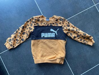 Sweat PUMA