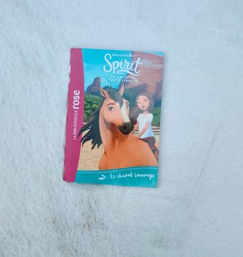 Livre spirit