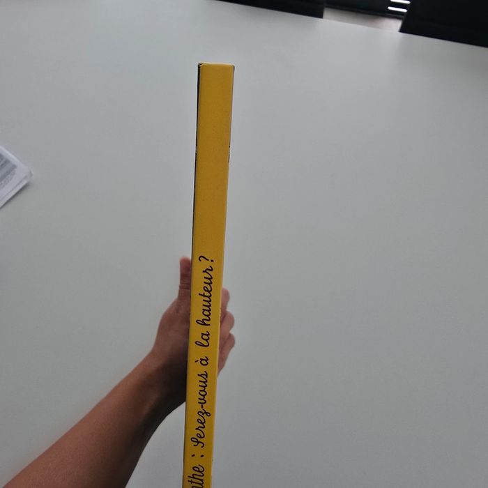 Livre neuf - La tour Labyrinthe - photo numéro 4