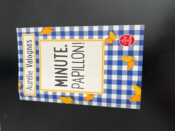 Livre d’Aurelie Valogne 