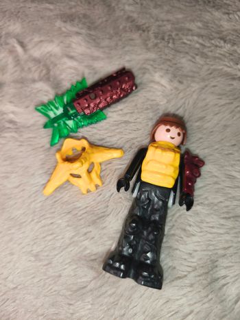 Gardien du temple playmobil