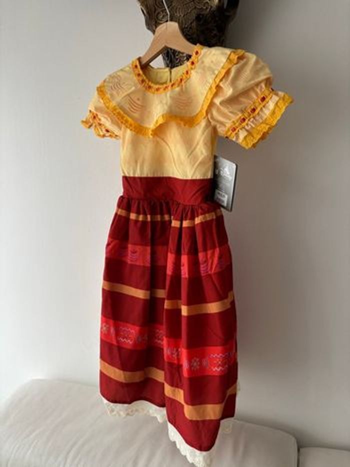 Déguisement Encanto - photo numéro 4