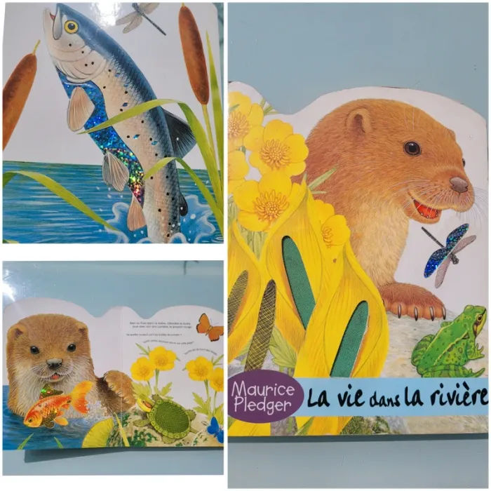 Rare, Superbe livre grand format à toucher 🐢 La vie dans la rivière 🐟