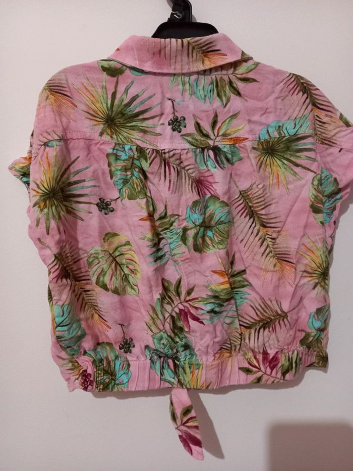 Chemis tropic - photo numéro 4