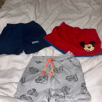 lot 3 short